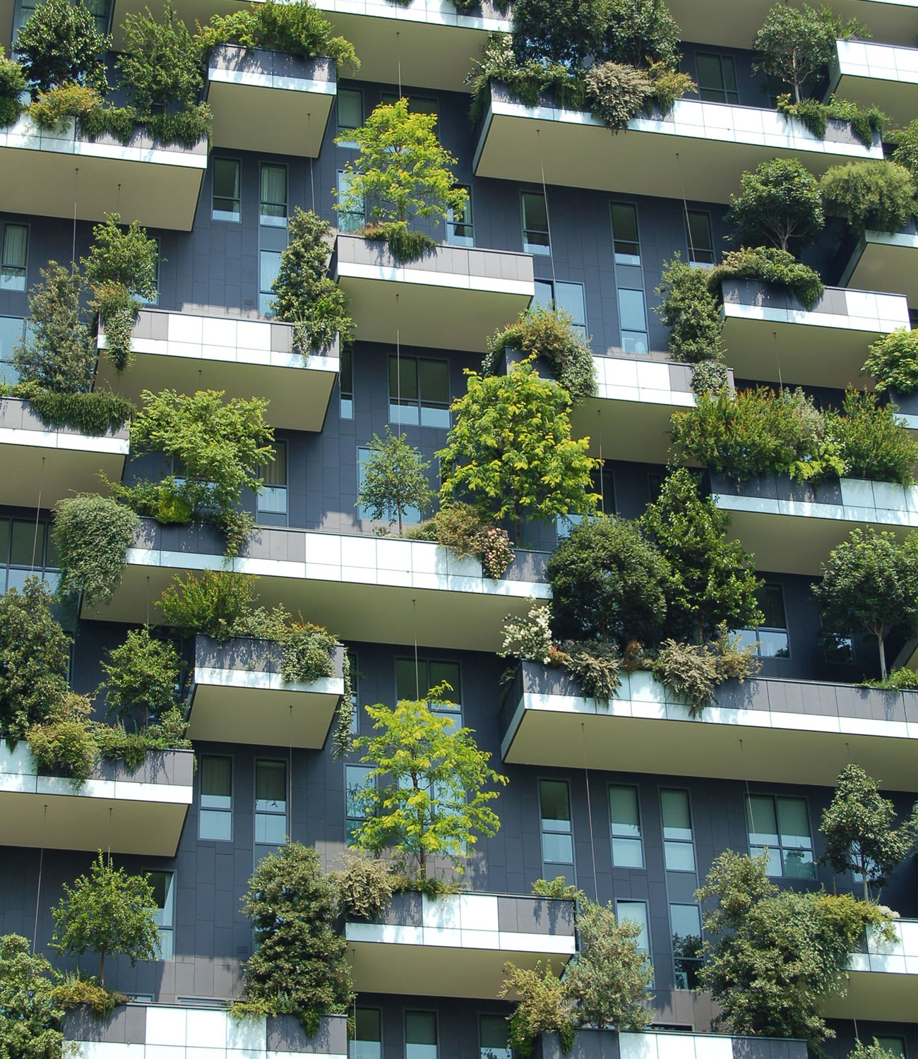 טעינה חשמלית